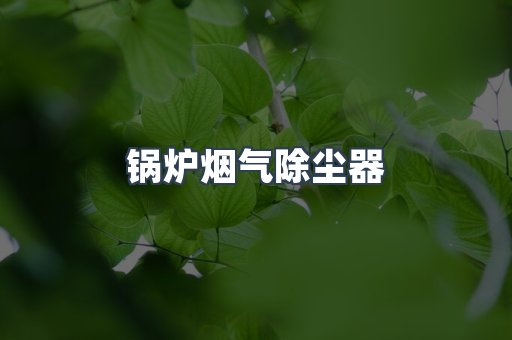 脉冲布袋除尘器供应